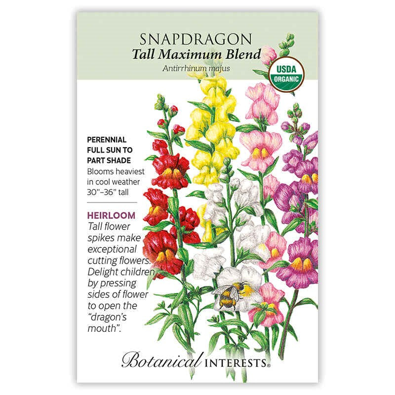 Snapdragon Tall Maximum Blend